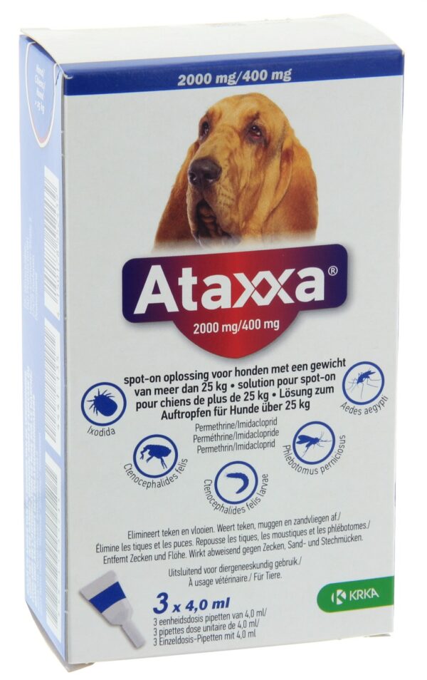 ATAXXA 2000/400MG. 3 PIP. HOND >25KG.