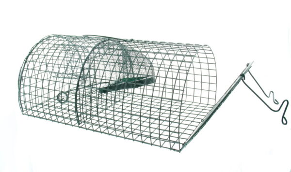 Rattenvangkooi Multirat, 40x24x18cm - Afbeelding 3