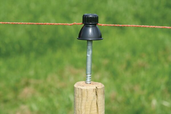 Isolatorsteunen recht met M10, 50st.