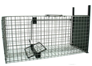 Vangkooi gaas rat, 1 ingang, 50x20x20cm