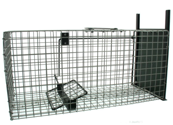 Vangkooi gaas rat, 1 ingang, 50x20x20cm
