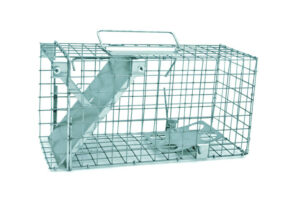 Vangkooi rat, 35x17x20cm, 1 ingang