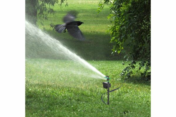 WATERSPROEIER MET BEWEGINGSMEL.SOLAR - Afbeelding 2