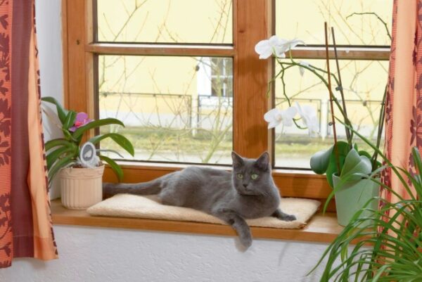 Vensterkussen kat zelfwarmend lichtbruin