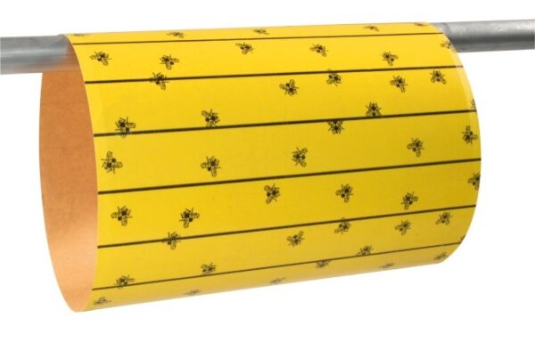 Vliegenpapier flypaper, 60x30cm, 6st - Afbeelding 2