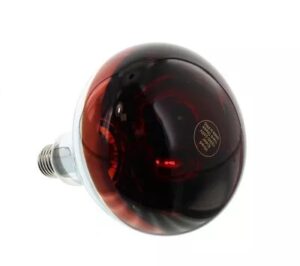 Warmtelamp infrarood 150W