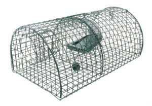 Rattenvangkooi Multirat, 40x24x18cm
