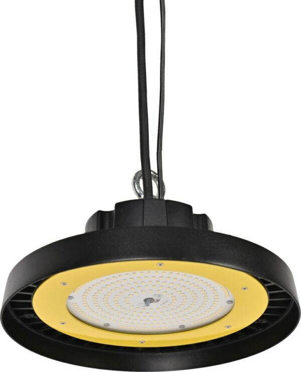 Light Hiled Pro