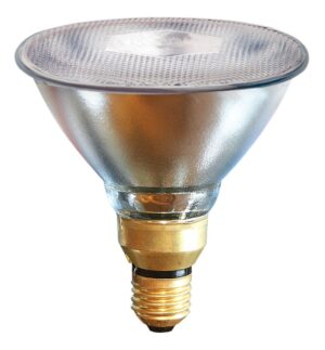 Warmtelamp PAR38 100w helder