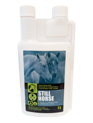 STILL HORSE 1L NL