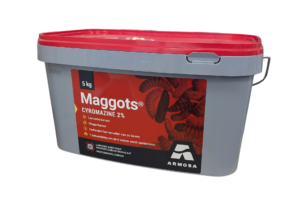 Maggots 5 KG NL