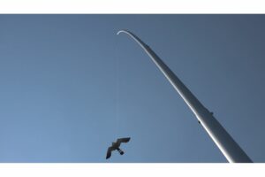 Aluminium mast 12,5m met Black Hawk Kite