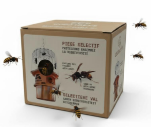 Selectieve Aziatische Hoornaar val